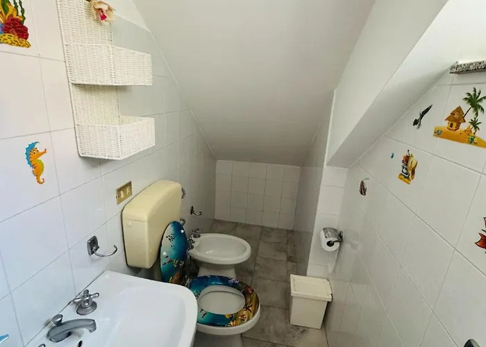 Carol * רוקאלומרה